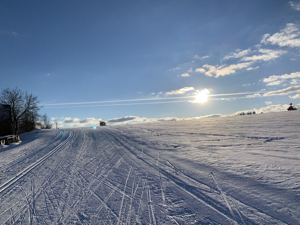 Langlaufkurs Wochenende am 29.01 und 30.01.2022